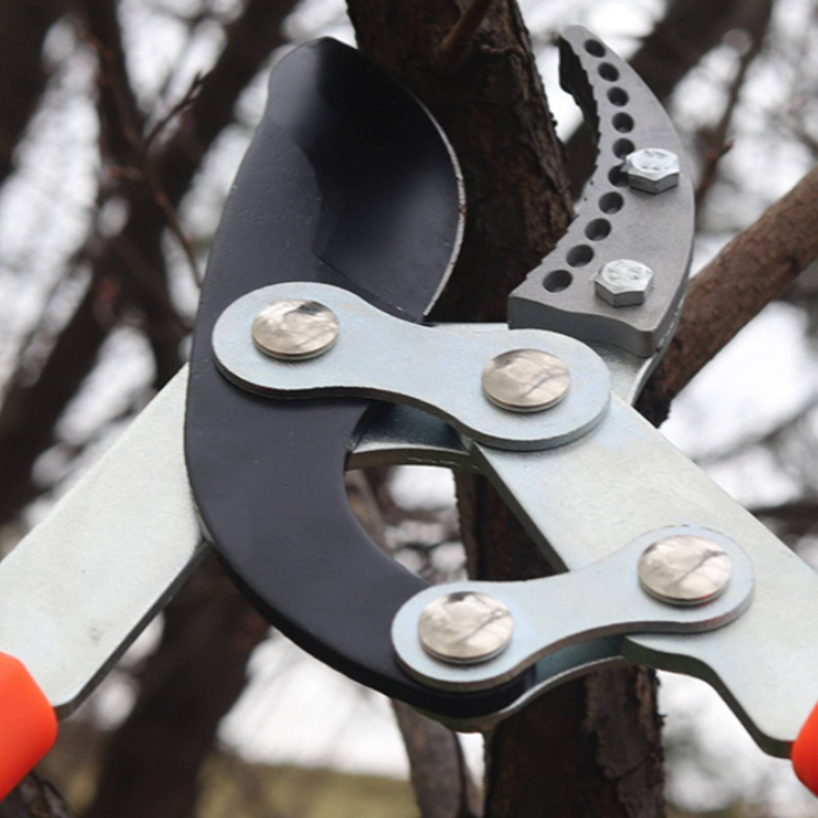 Telescopische takkenknippers S - Garden Tools recensie en prijs